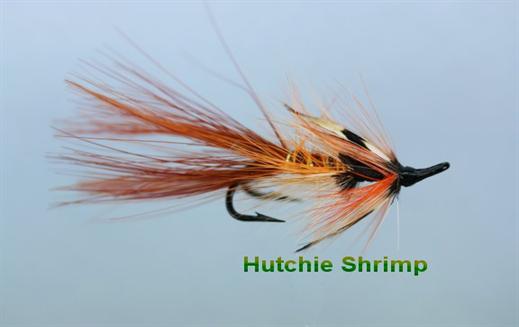 Hutchies Shrimp