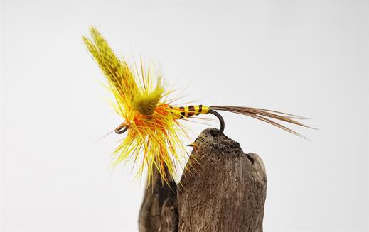 Erne Special Mayfly