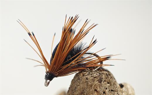 Haul a Gwynt Traditional
