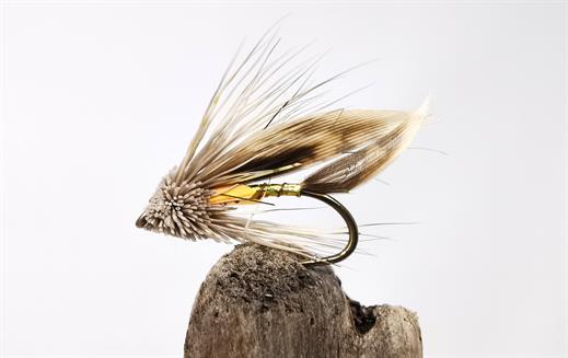 Fishing Flies Trout Flies 8 Pack of Silver Sedge Dry Fly,Size 10 