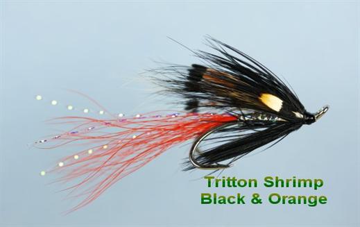 Tritton Black and Orange Shrimp JC