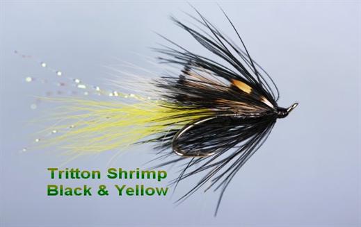 Tritton Black and Yellow Shrimp JC