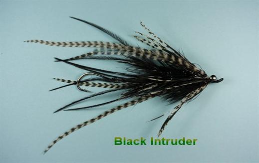 Black Intruder