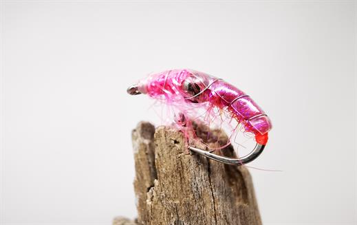 Pinky Tungsten Bug