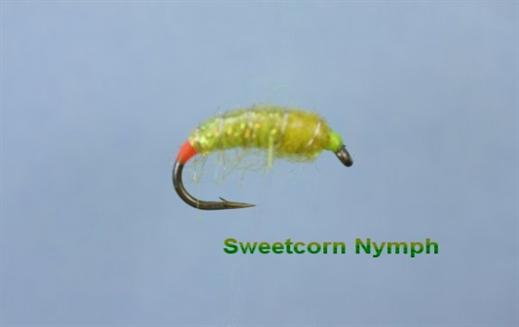 Sweetcorn Nymph