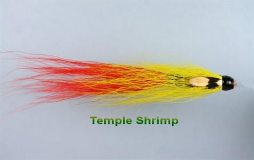 Temple Shrimp JC