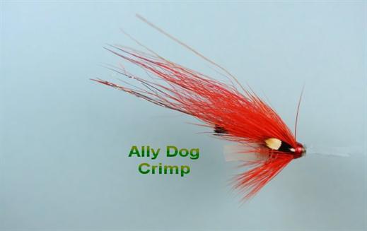 Ally Dog Crimp JC