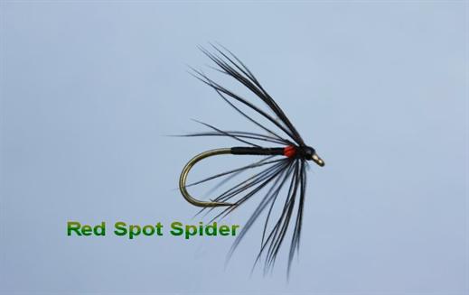 Red Spot Spider