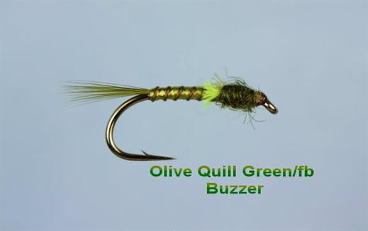Olive Quill Green FB Buzzer