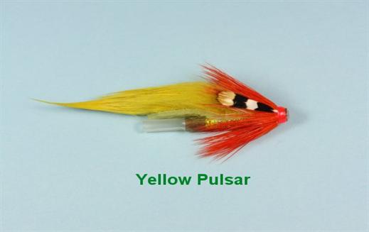 Pulsar Yellow JC