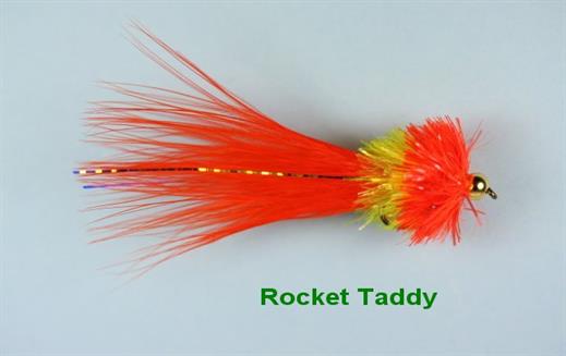 Rocket Taddy