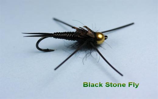 Black Stone Fly Fly - Fishing Flies with Fish4Flies Worldwide