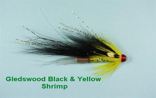 Gledswood Black and Yellow JC