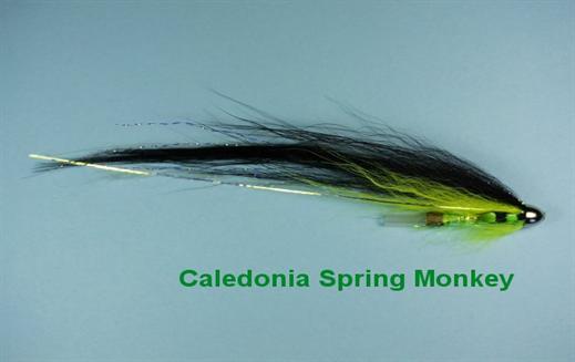 Caledonia Spring Monkey JC