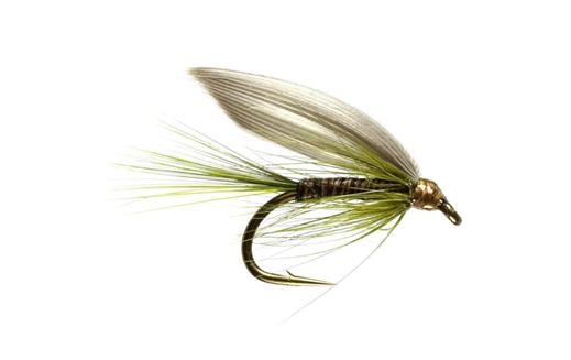 Olive Quill