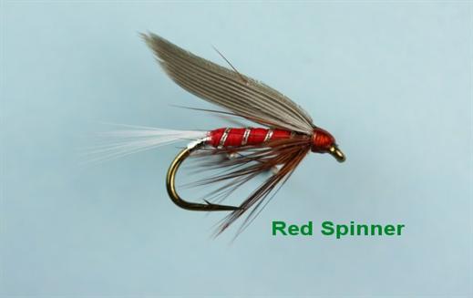 Red Spinner Winged Wet Fly - Fishing Flies with Fish4Flies Worldwide