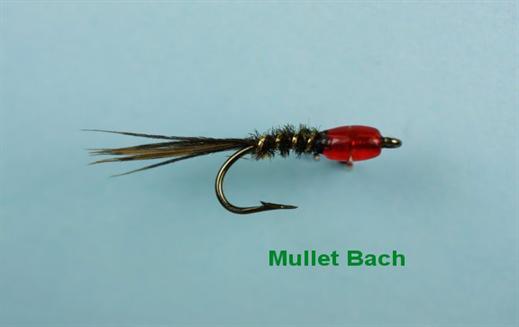 Mullet Bach