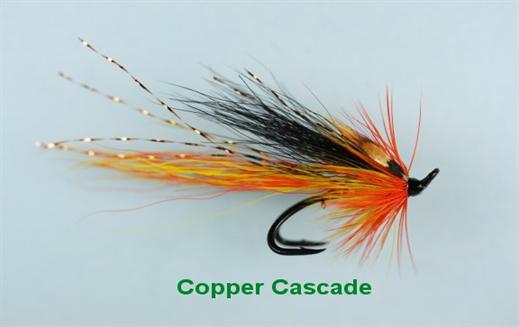 Copper Cascade Shrimp