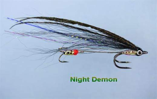 Night Demon Flying T
