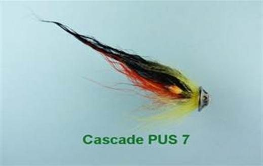 Cascade PUS 7