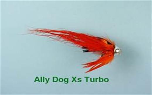 Ally Dog Xs Turbo