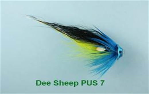 Dee Sheep PUS 7