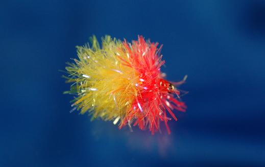 UV Sunburst Coral Blob