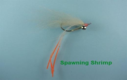 Spawning Shrimp Fly - Fishing Flies with Fish4Flies Worldwide