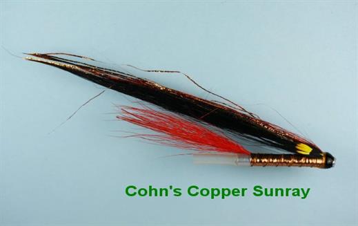 Cohns Copper Sunray
