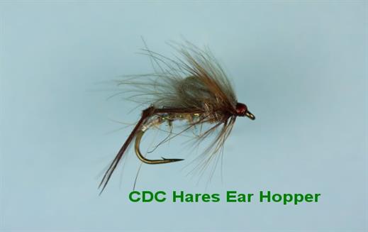 Hares Ear CDC Hopper