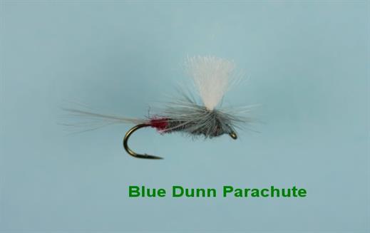 Blue Dunn Para