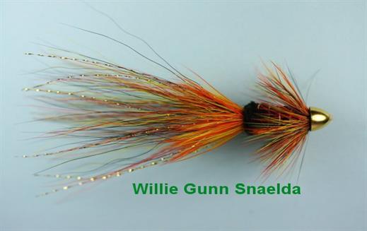 Willie Gunn Snaelda Conehead