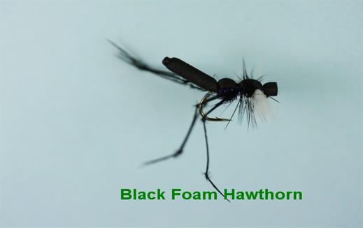black foam hawthorn fly big black fly