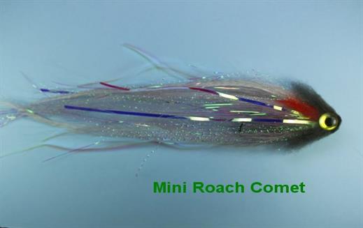 Roach Mini Comet
