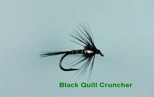 Cruncher Black Quill