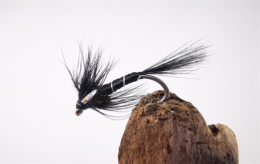 Cruncher Black Quill