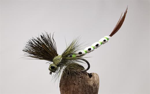 Mohican Mayfly