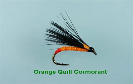 Orange Quill Cormorant