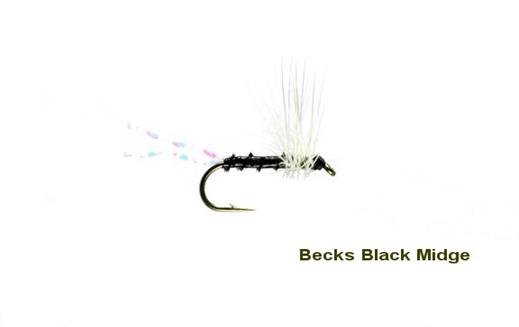 Becks Black Midge