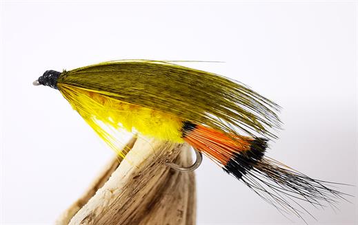 Canadian Hamills Killer Fly