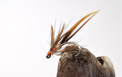 Woodcock and Hares Lug Spider