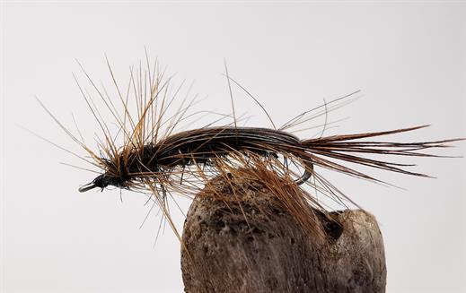 Brown Beetle Fly - Fishing Flies with Fish4Flies Worldwide