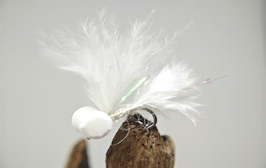 Pure White Booby