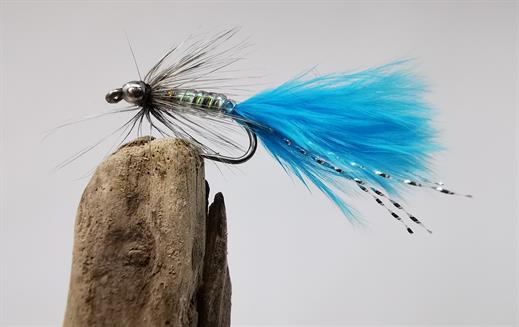 Silverhead Adult Damsel