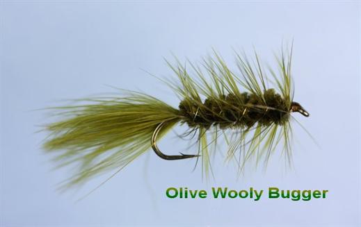 Olive Woolly Bugger