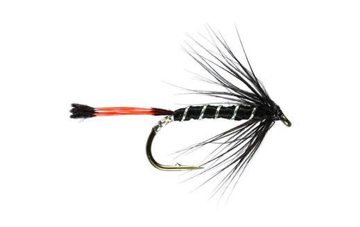 Black pennell fly pattern Clearance