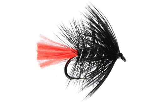 Fly Fishing PRIME COLLECTION BLACK ZULU Wet Fly pack Size 8 pack of 12
