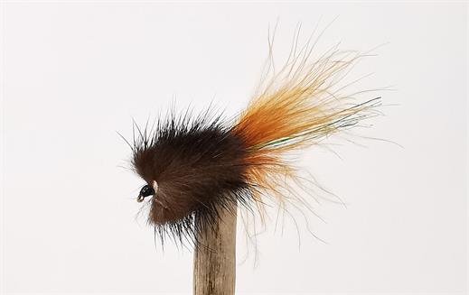 Stewarts Millionaire Taddy Brown