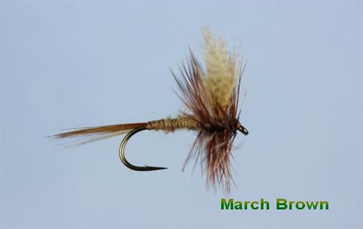 March Brown Fly - FlyFishing with Fish4Flies.com