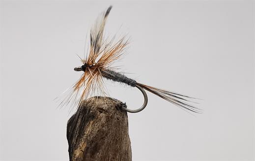 Adams Spinner Fly - Fishing Flies with Fish4Flies Worldwide